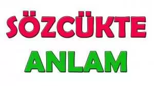 Sözcükte Anlam İle İlgili Online Test-2