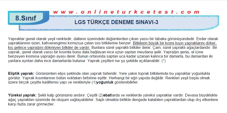 LGS Türkçe Deneme Sınavı-3