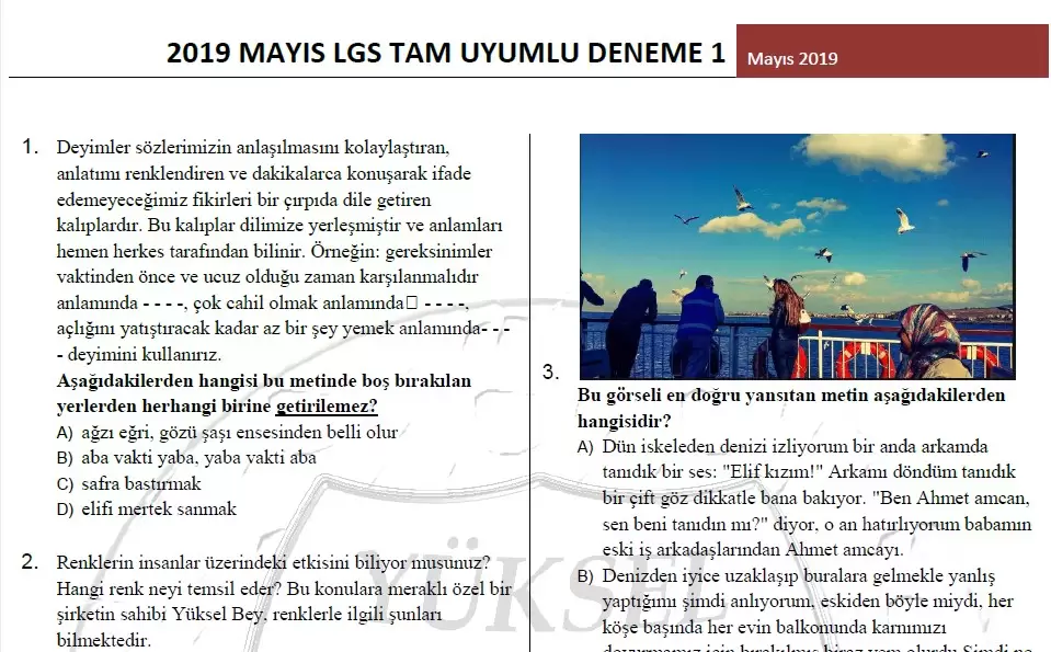 2019 Mayıs LGS Tam Uyumlu Deneme Sınavı