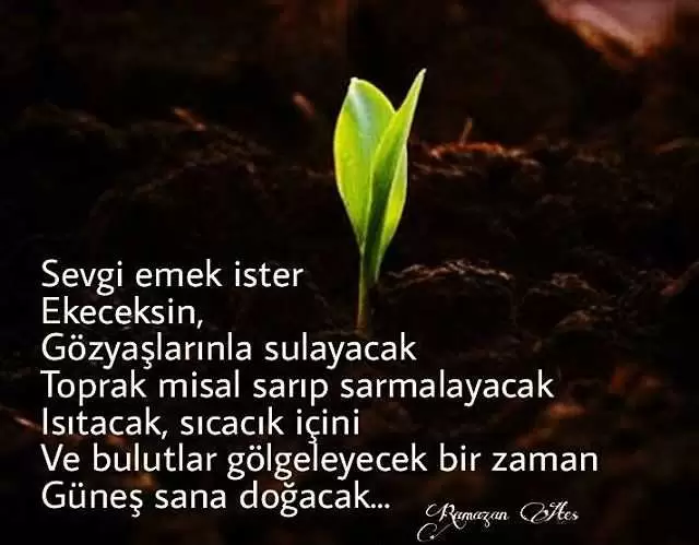 Sevgi sözcüğünün size çağrıştırdığı kavramları yazınız. Bu kavramlardan birini seçerek bilgilendirici bir metin yazınız
