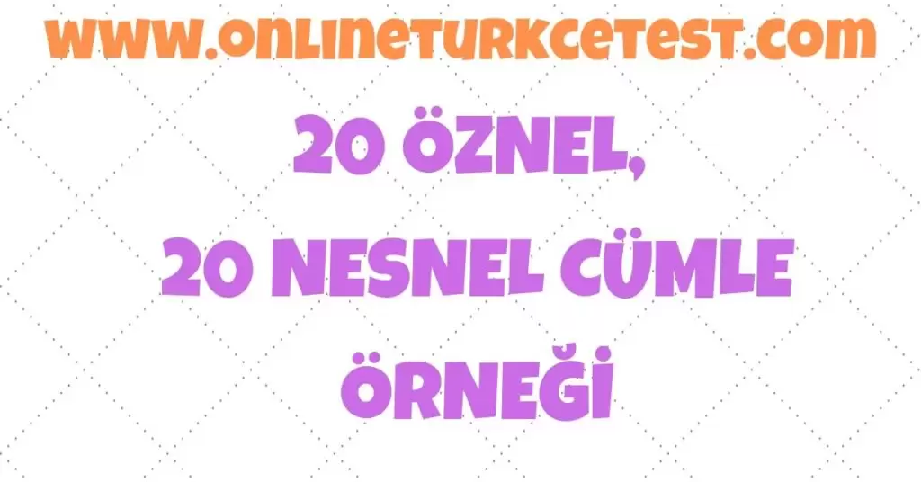 20 Öznel 20 Nesnel Cümle Yazınız.