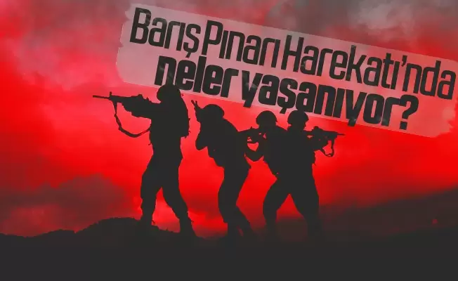 Barış Pınarı Harekatı Hakkında Bilgi