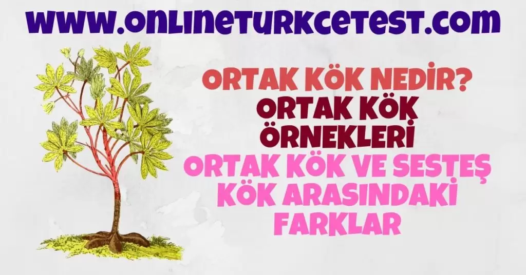 Ortak Kök Nedir? Ortak Kök İle İlgili Örnekler
