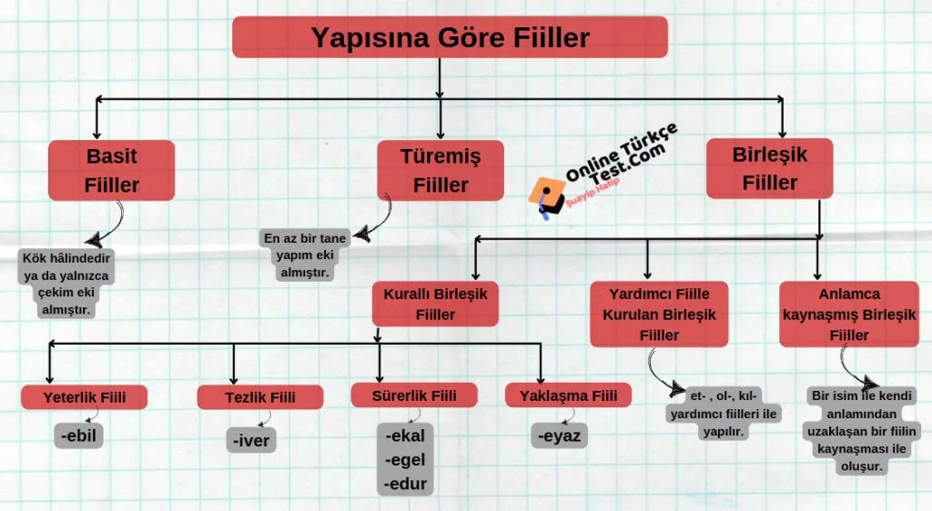 7. Sınıf Fiilde Yapı (Konu Anlatımı, Etkinlikler, Test)