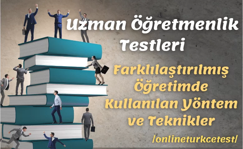 Farklılaştırılmış Öğretimde Kullanılan Yöntem ve Teknikler İle İlgili Test