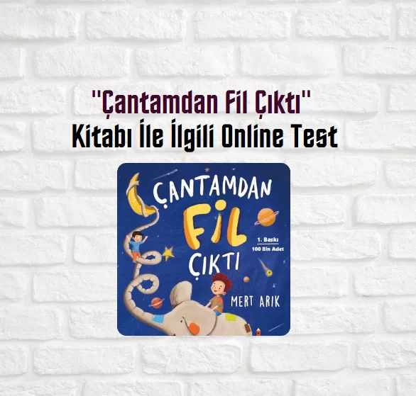 “Çantamdan Fil Çıktı” Kitabı Soruları