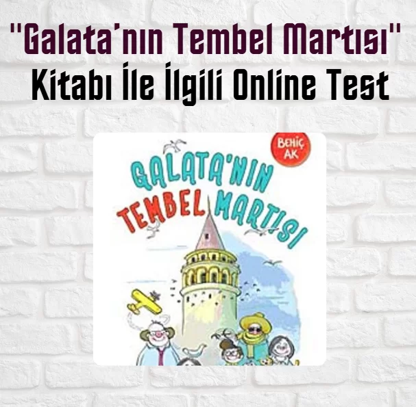“Galata’nın Tembel Martısı” Kitabı Soruları