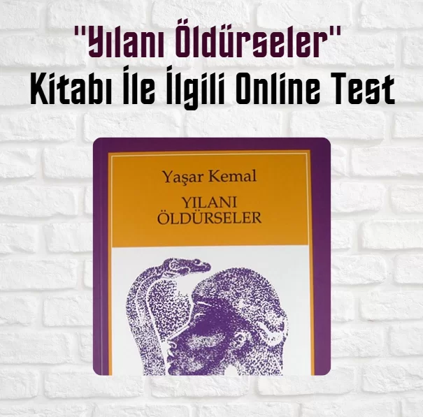 “Yılanı Öldürseler” Kitabı Soruları