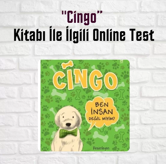 “Cingo” Kitap Soruları ve Cevapları